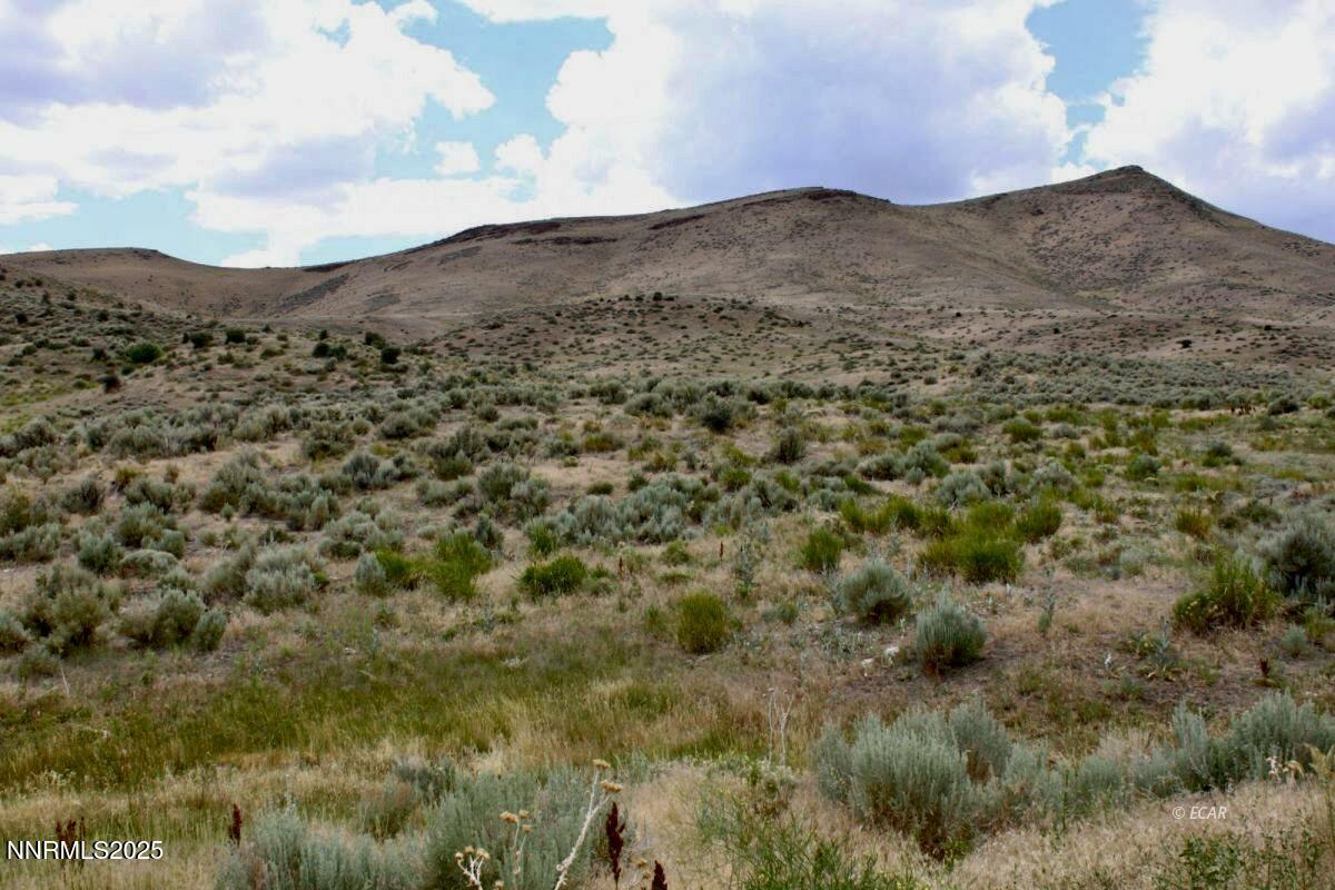 1992 Snowbowl Road Elko, NV 89801 - Photo 3 of 15 Snowbowl25 2