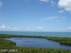 a view of a lake in middle of forest