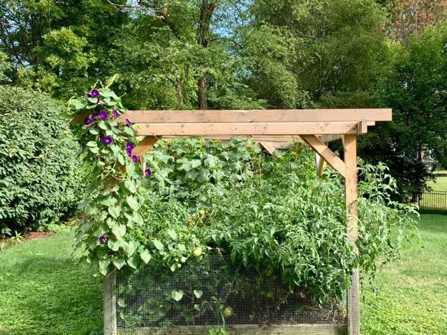 2181 Embden Lane Wheaton, IL 60189 - Photo 44 of 44