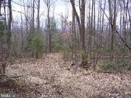 Lot Erly Erly Road Elliottsburg, PA 17024 - Photo 3 of 7 Gallery Image 3