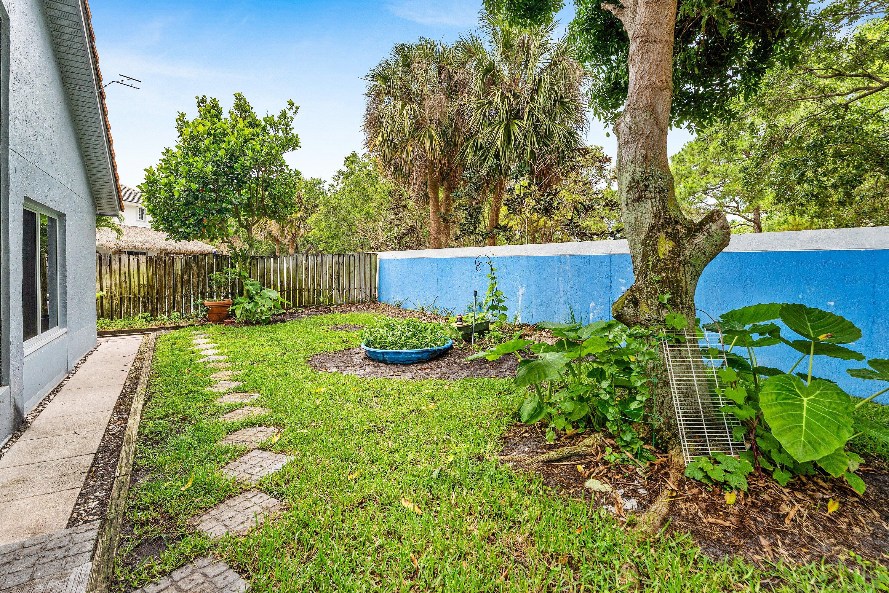 143 St Michaels Court Jupiter, FL 33458 - Photo 25 of 27 Backyard with Mango Tree