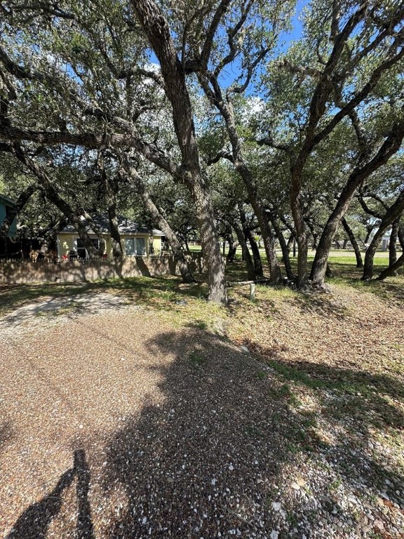 402 Myrtle Street Fulton, TX 78382 - Photo 19 of 20 a view of dirt yard with a tree