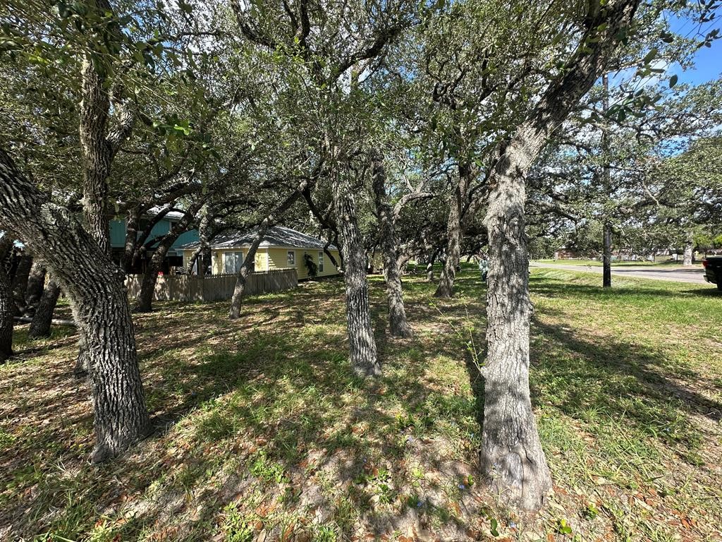 402 Myrtle Street Fulton, TX 78382 - Photo 20 of 20 a view of yard with tree