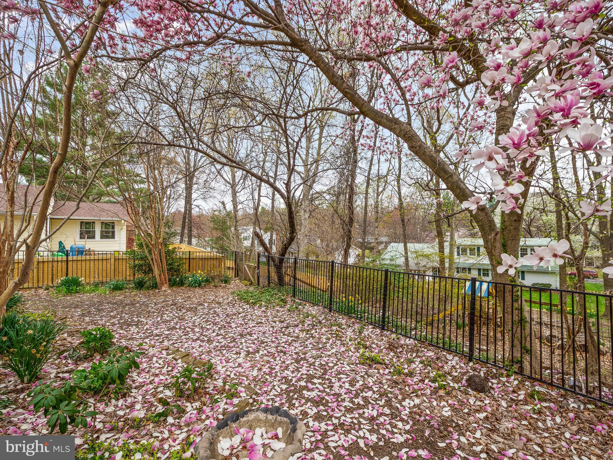 3213 Birchtree Lane Silver Spring, MD 20906 - Photo 48 of 54 Rear deck