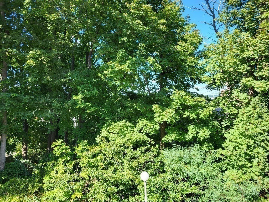 103 Valentine Street, Unit 3 Fall River, MA 02720 - Photo 23 of 39