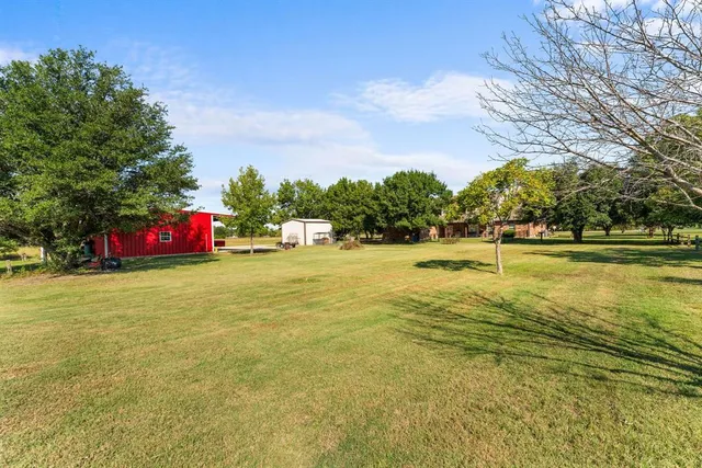a view of a house with backyard and a tree