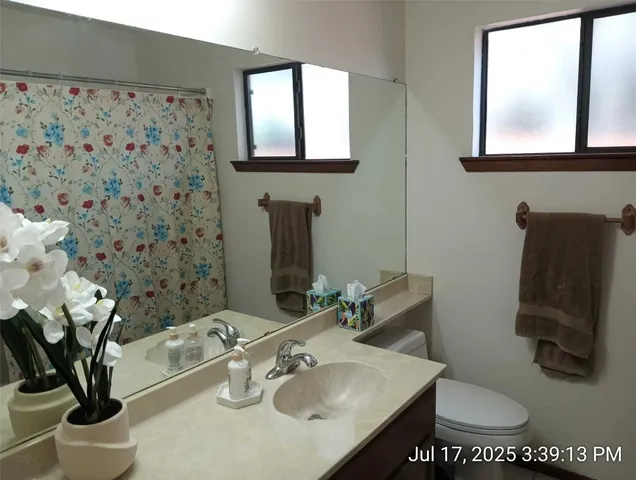 a view of a yard with plants and a bench in it