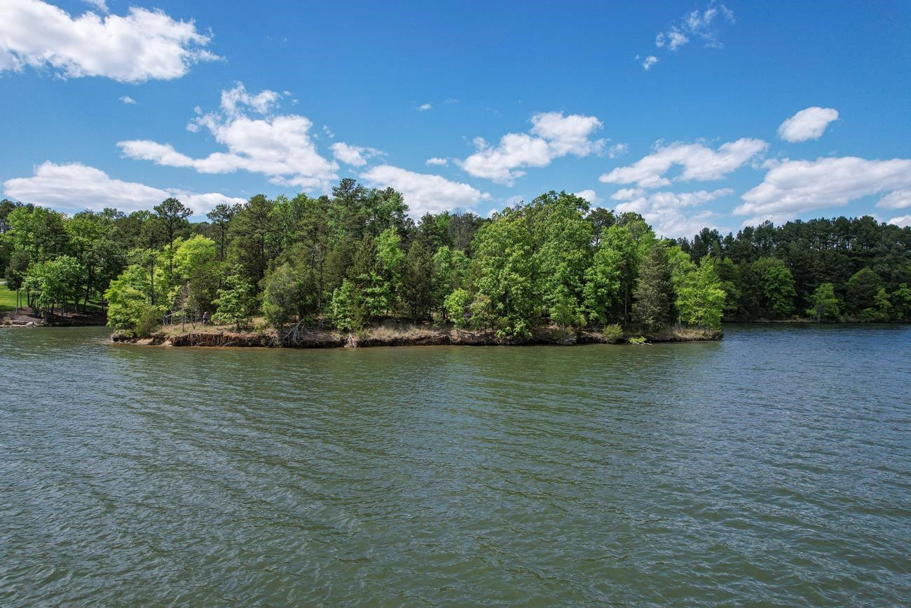 Lot 26 Estate Road Semora, NC 27343 - Photo 11 of 22 Photo 11