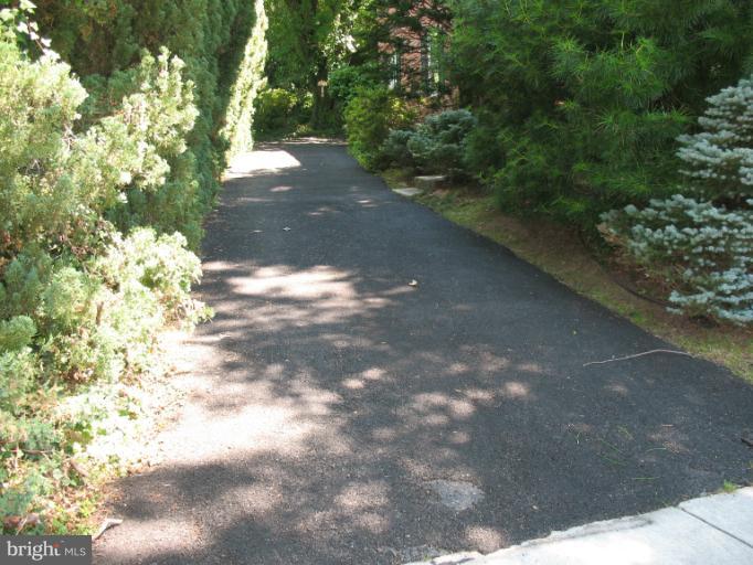 602 Coventry Road Towson, MD 21286 - Photo 13 of 28 a view of a yard with plants and trees