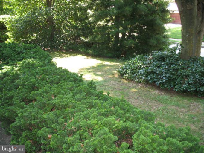 602 Coventry Road Towson, MD 21286 - Photo 16 of 28 a view of a yard with plants and large trees