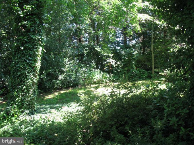 602 Coventry Road Towson, MD 21286 - Photo 26 of 28 a view of a lush green forest