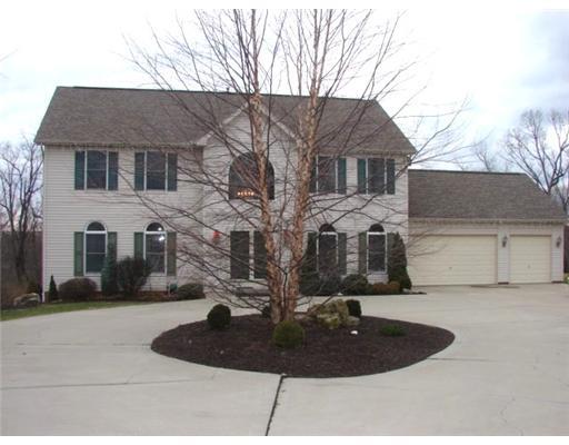 132 Cherrytree Road Carnegie, PA 15106 - Photo 2 of 18 Exterior Front. House sits behind Cherrytree. Long Driveway leads back to the house with the Circular Driveway!