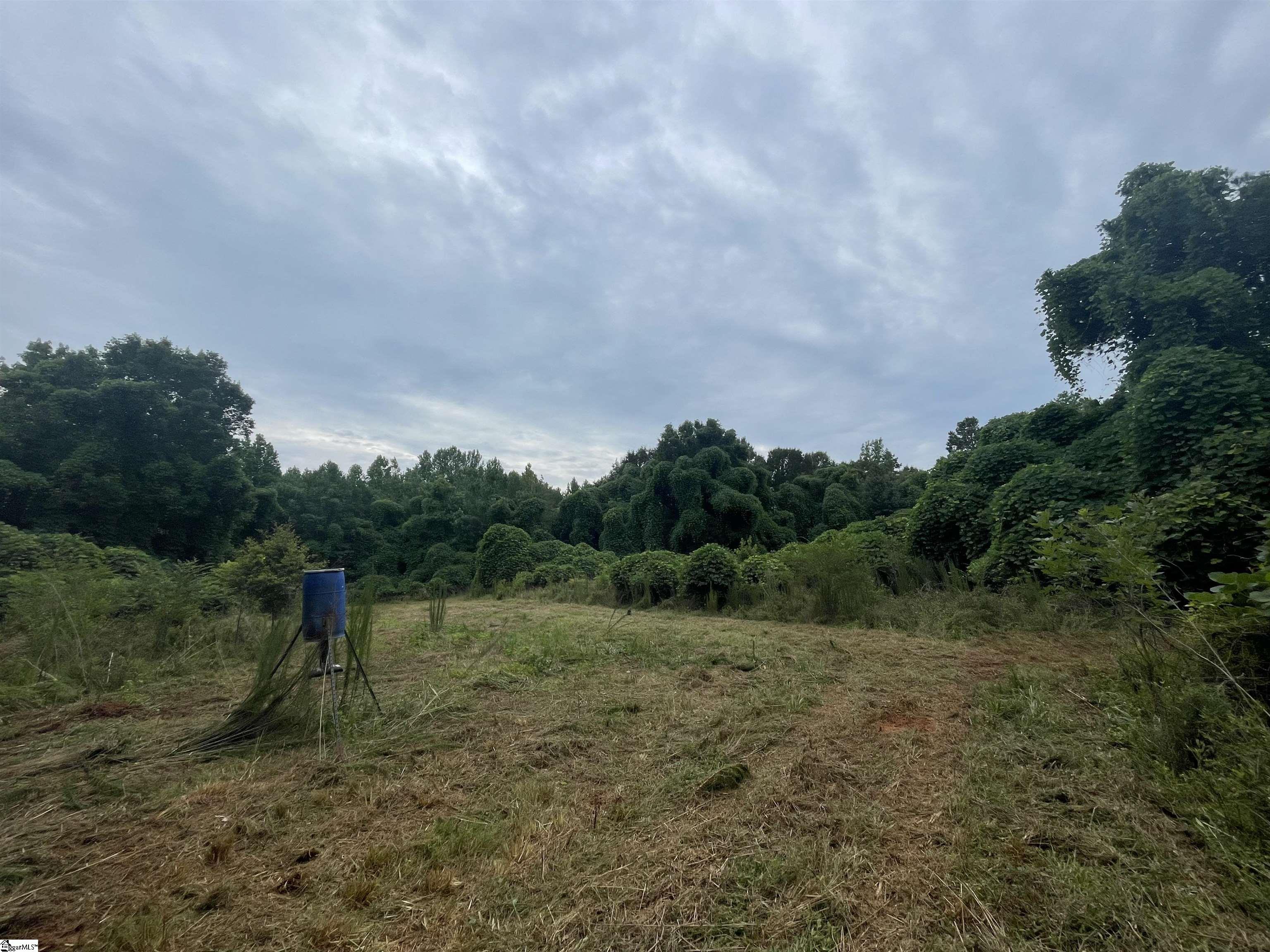 0 Mcmahan Mill Road Piedmont, SC 29673 - Photo 11 of 13