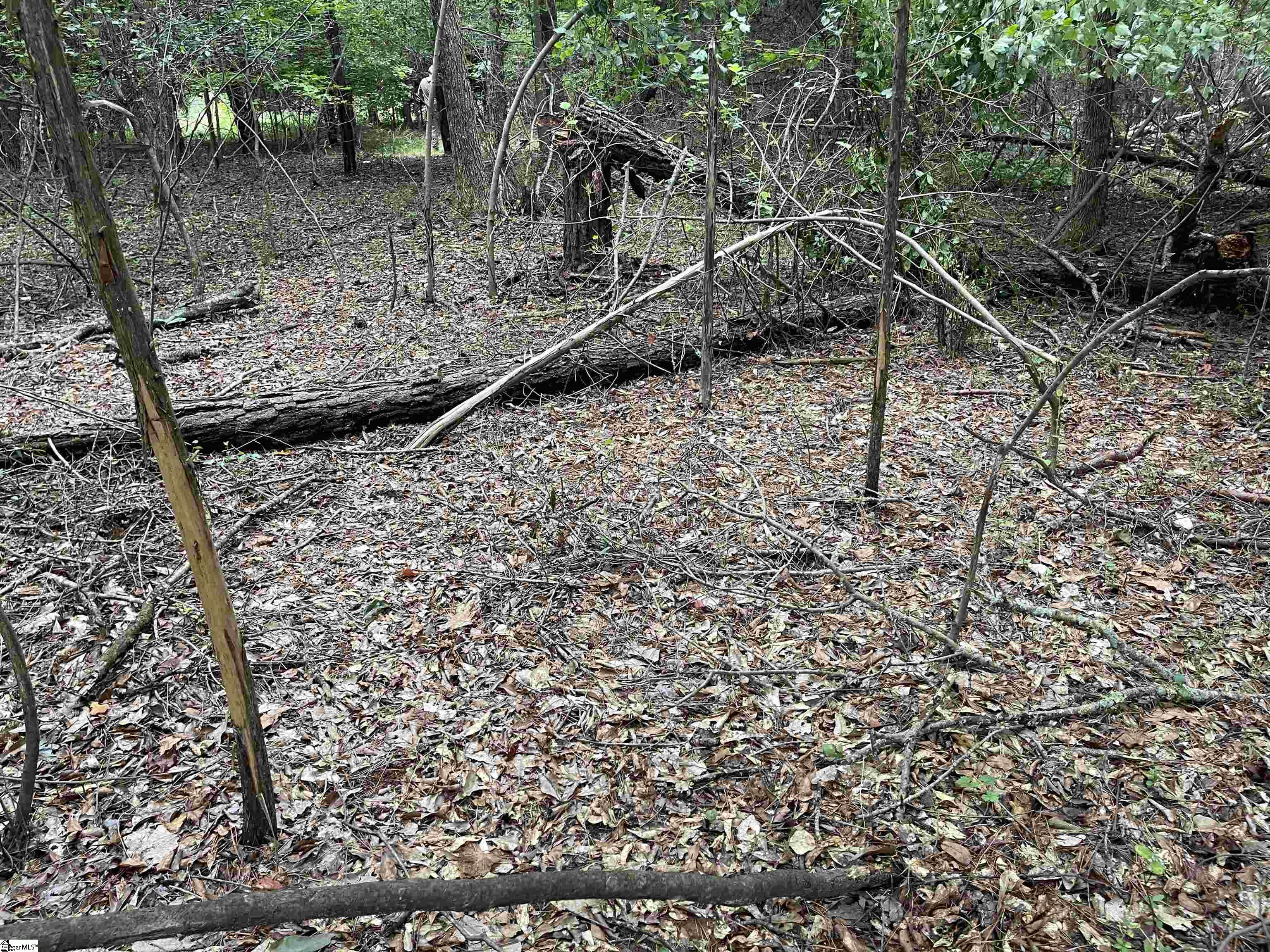 0 Mcmahan Mill Road Piedmont, SC 29673 - Photo 12 of 13