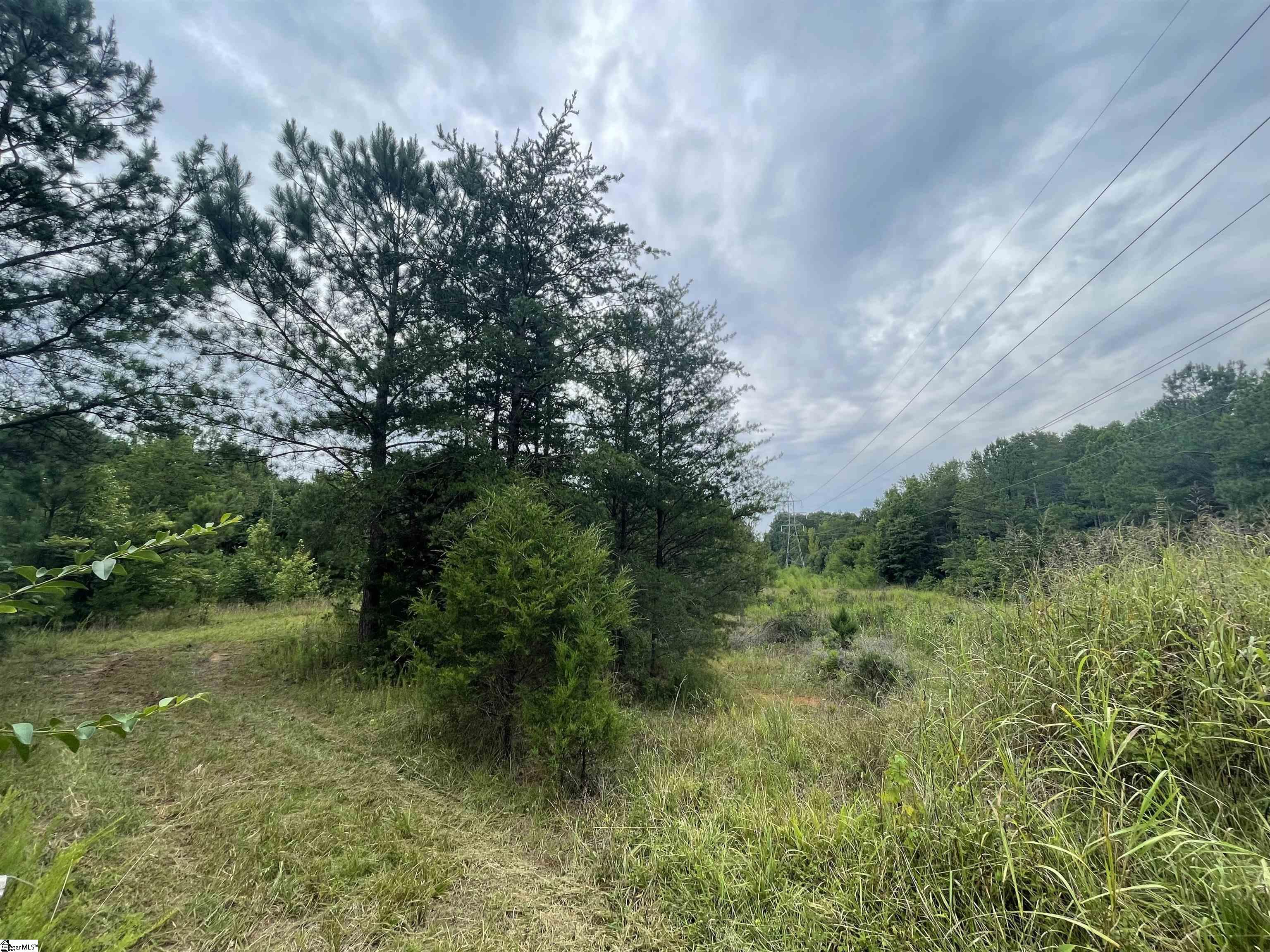 0 Mcmahan Mill Road Piedmont, SC 29673 - Photo 4 of 13