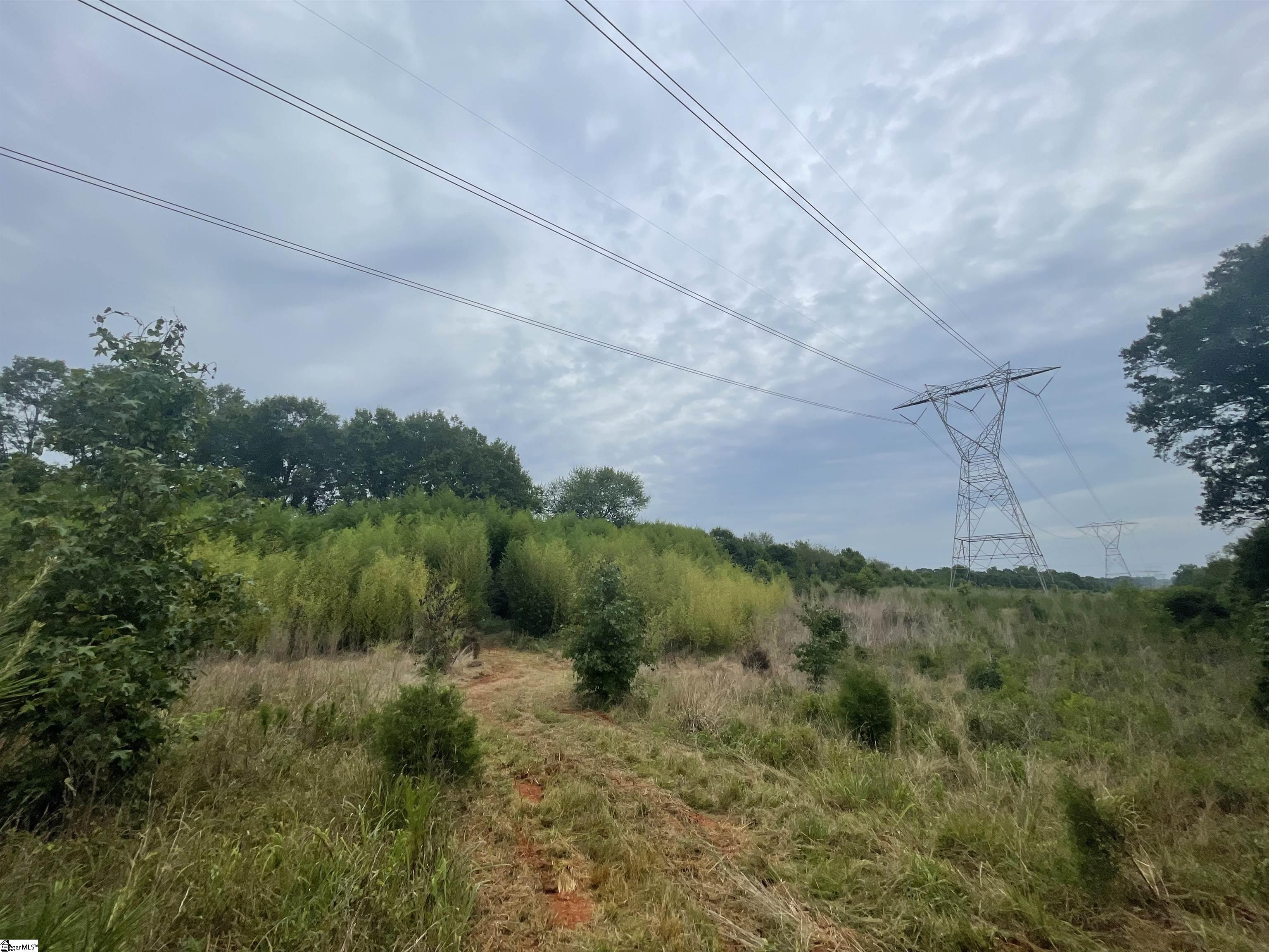 0 Mcmahan Mill Road Piedmont, SC 29673 - Photo 5 of 13