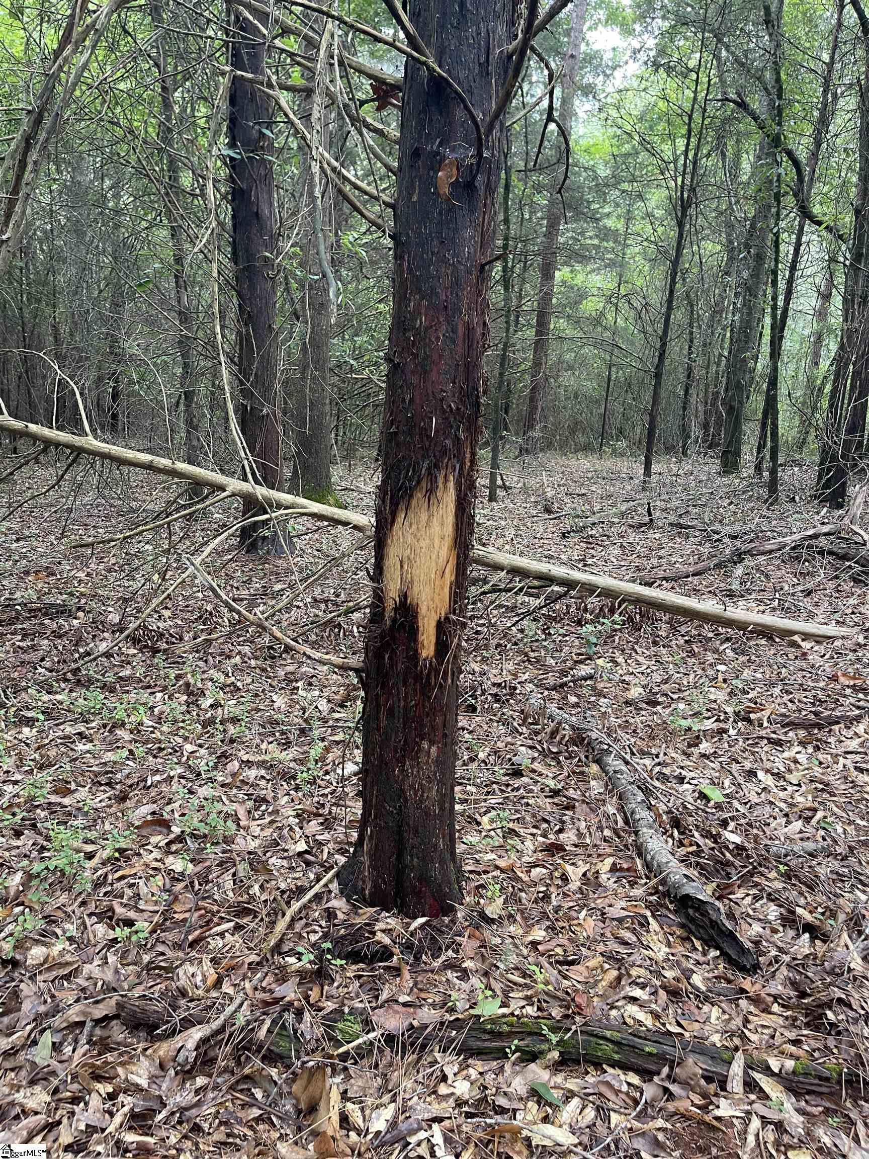 0 Mcmahan Mill Road Piedmont, SC 29673 - Photo 6 of 13