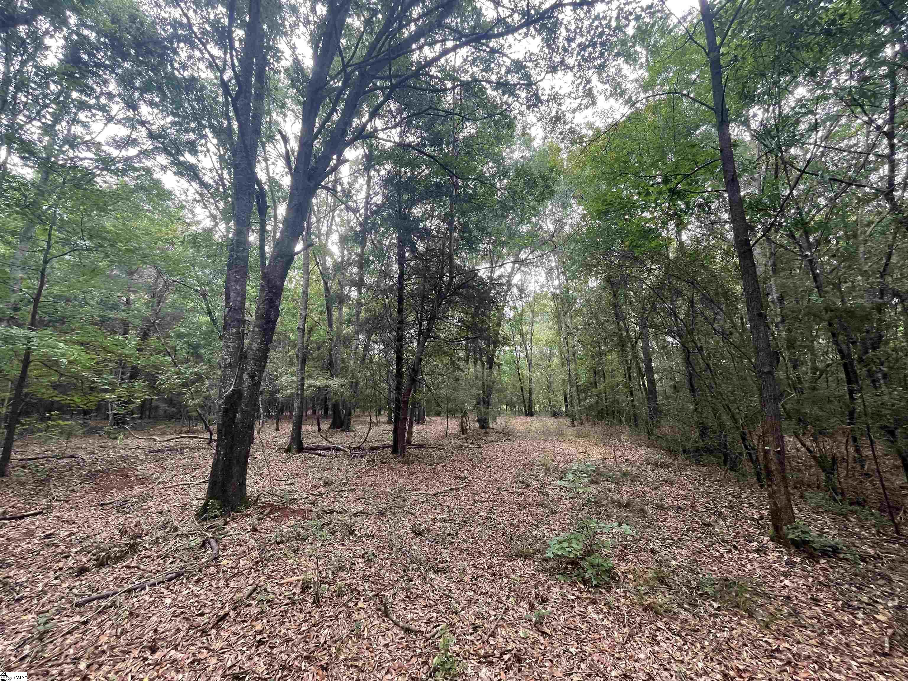 0 Mcmahan Mill Road Piedmont, SC 29673 - Photo 7 of 13