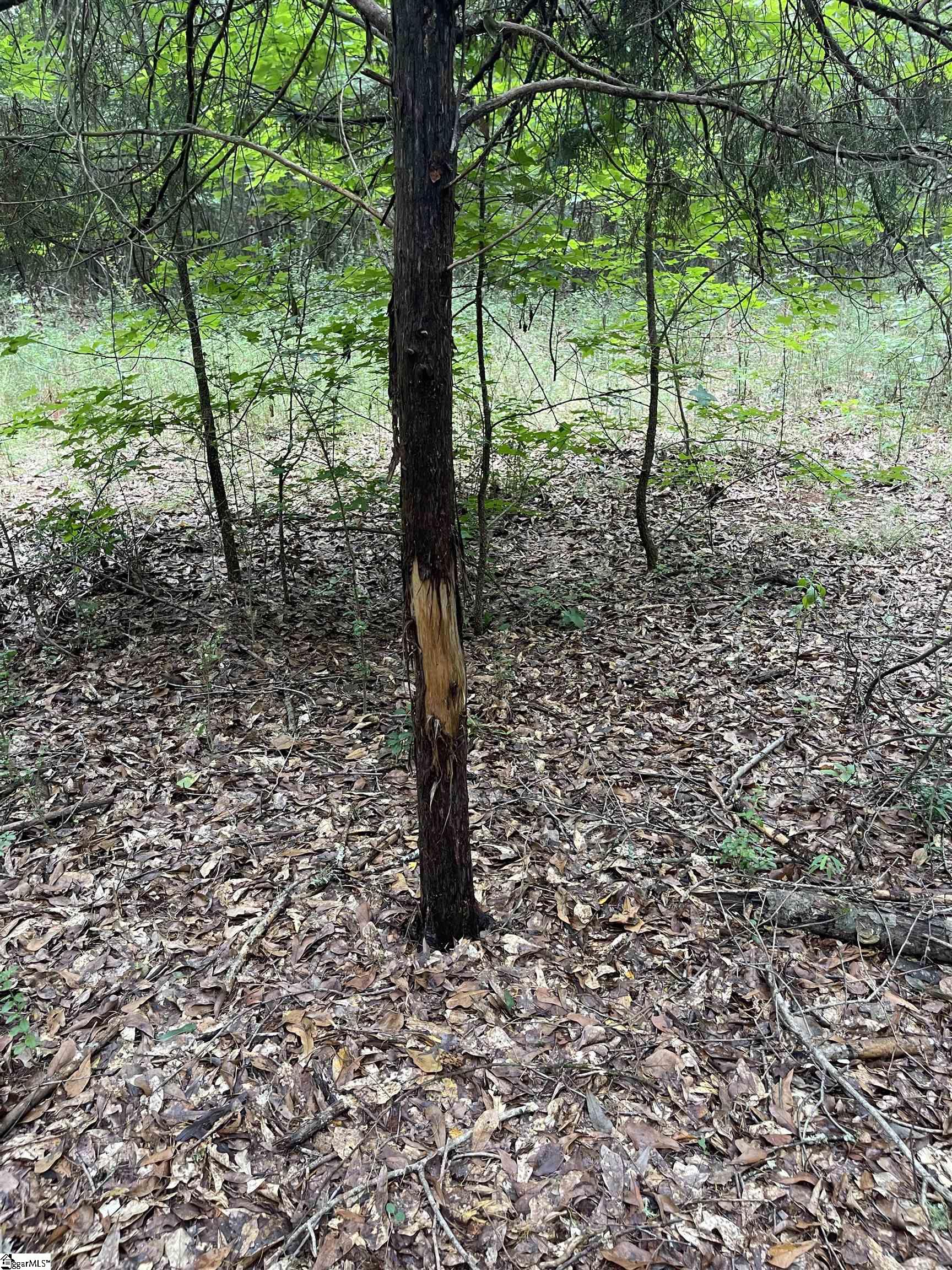 0 Mcmahan Mill Road Piedmont, SC 29673 - Photo 8 of 13