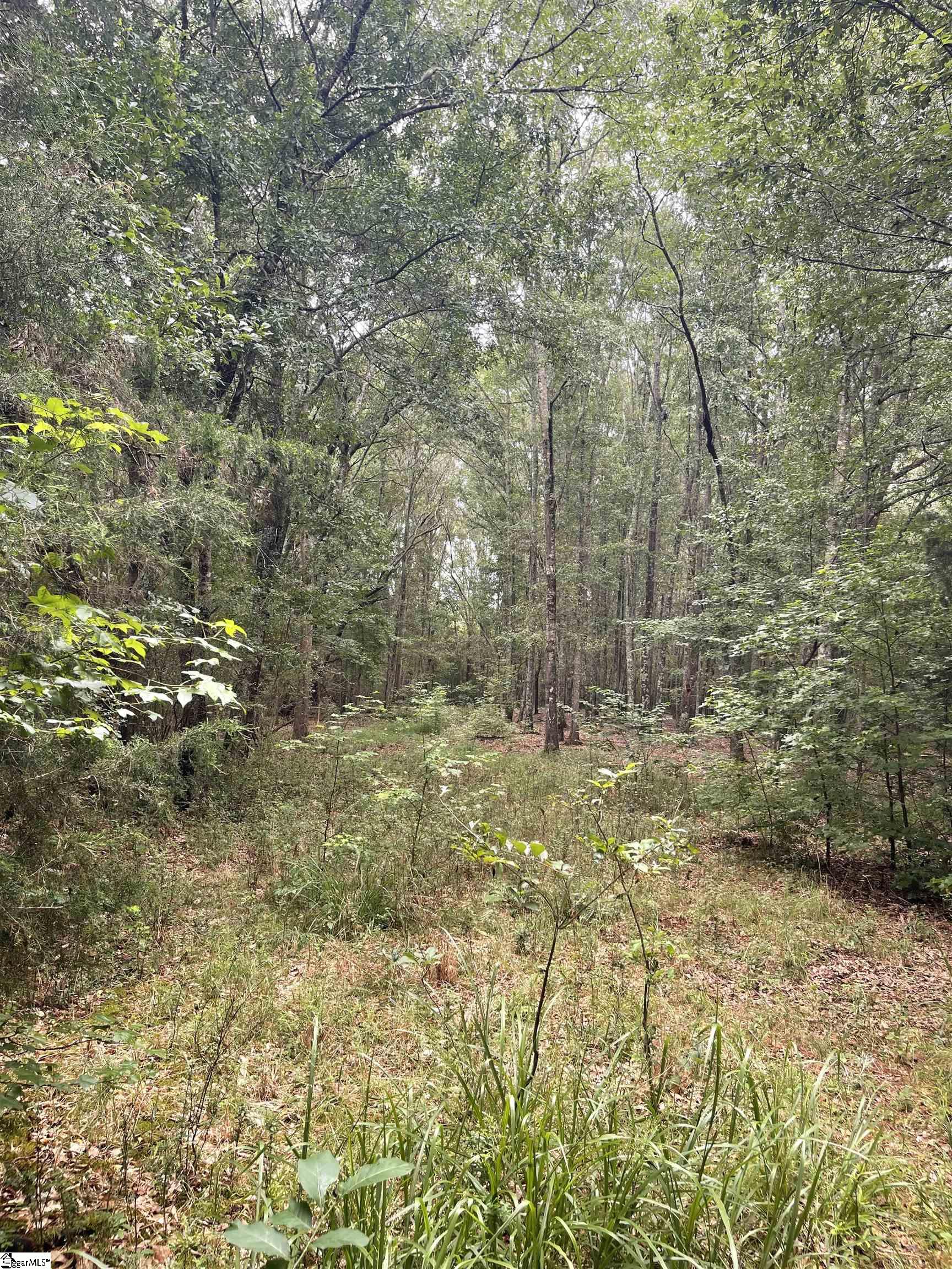 0 Mcmahan Mill Road Piedmont, SC 29673 - Photo 9 of 13