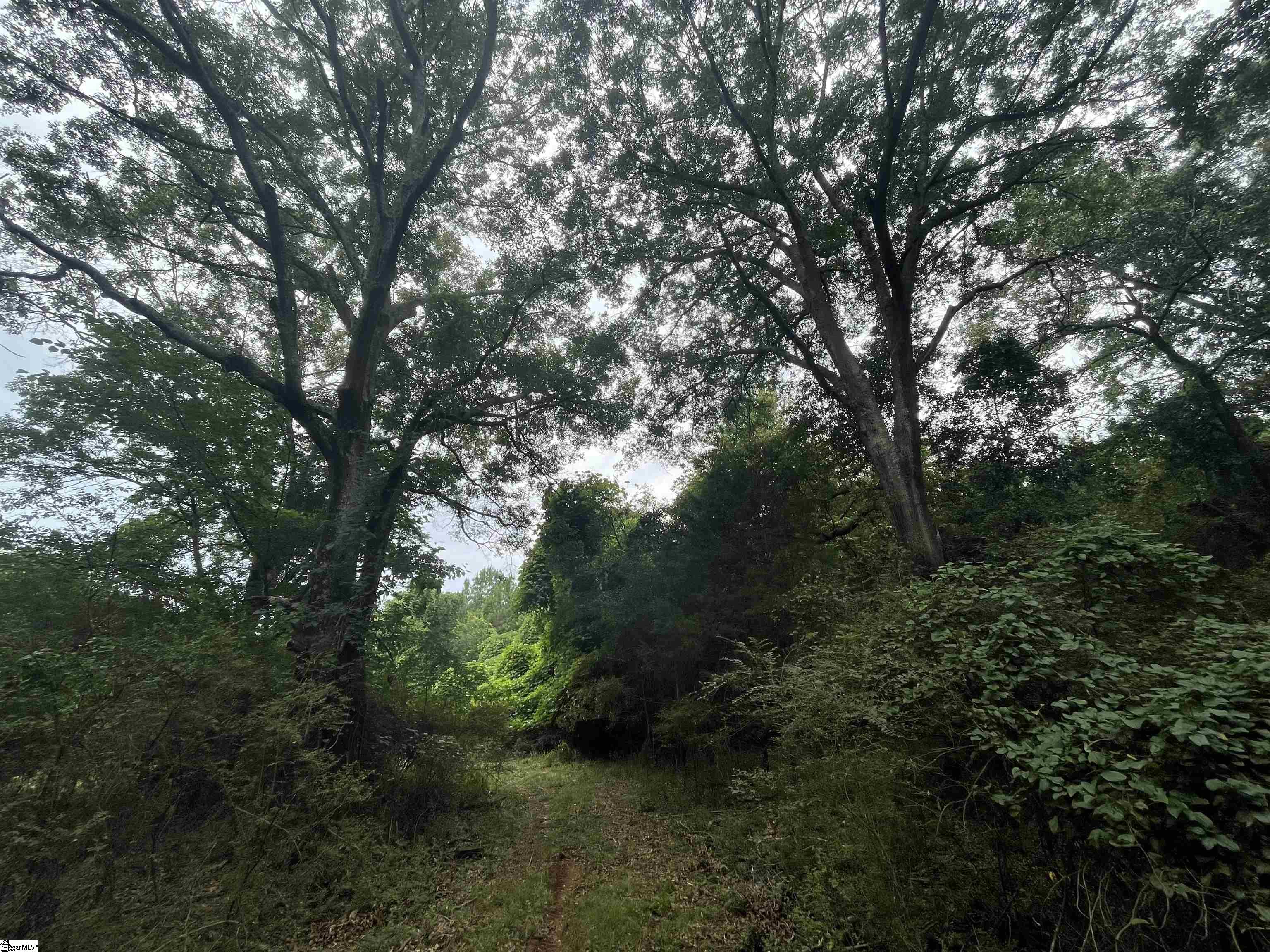 0 Mcmahan Mill Road Piedmont, SC 29673 - Photo 10 of 13