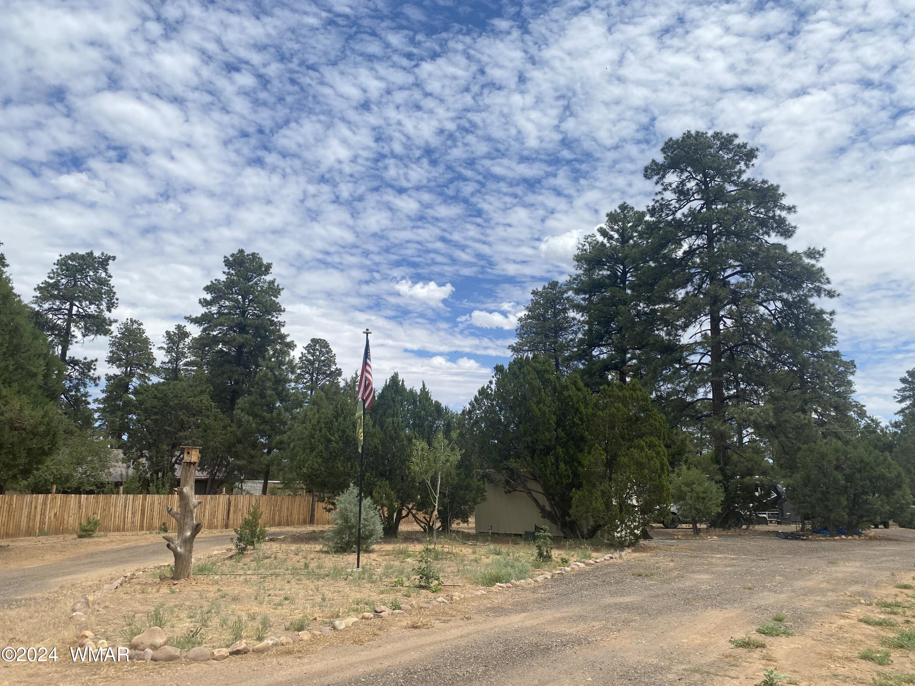 2919 Pine Rim Road Overgaard, AZ 85933 - Photo 1 of 13 a view of outdoor space with playground