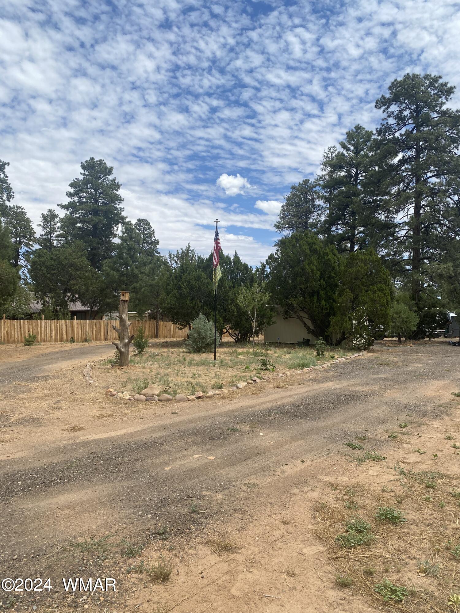 2919 Pine Rim Road Overgaard, AZ 85933 - Photo 2 of 13 a view of a yard with large trees