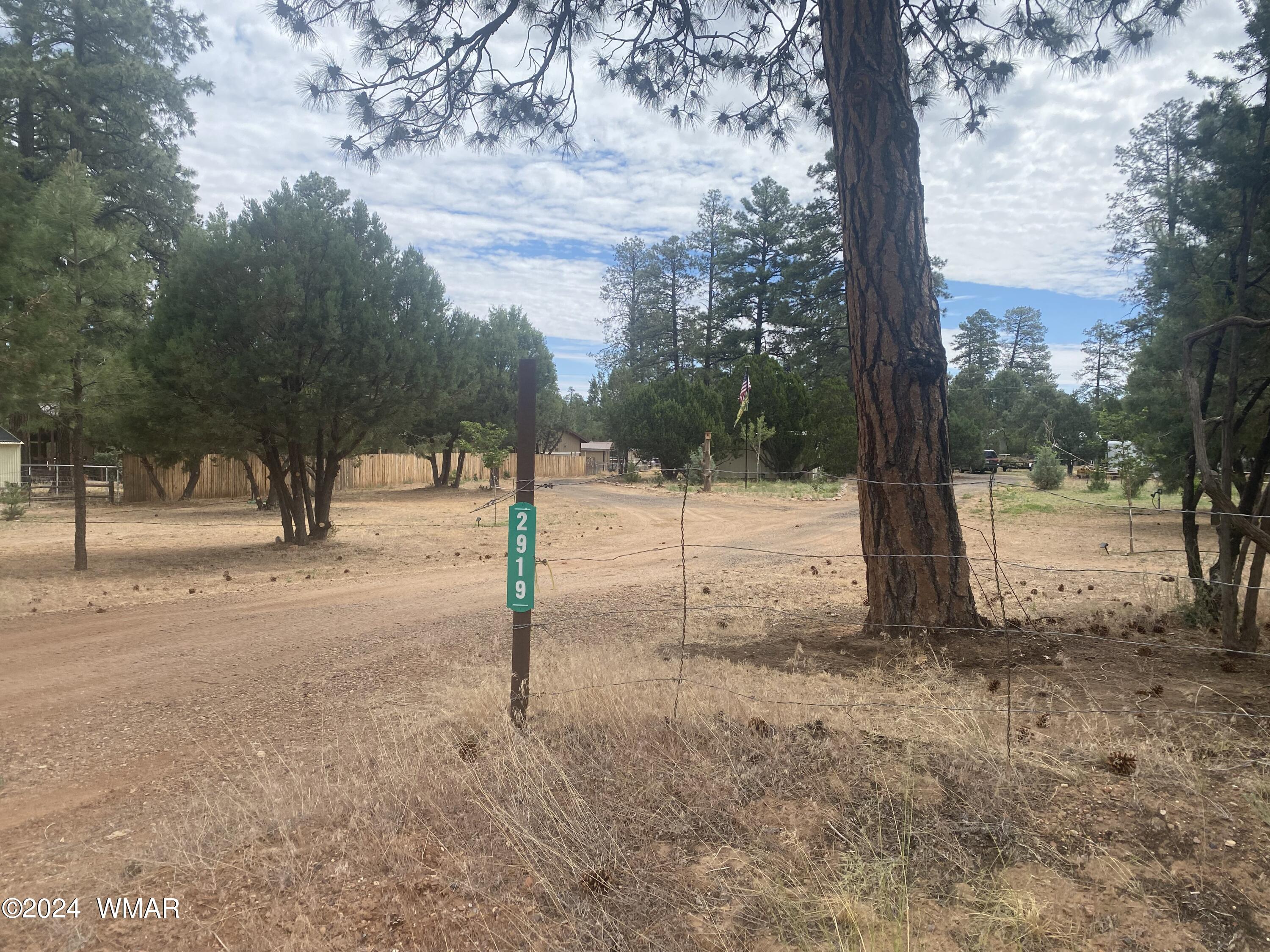 2919 Pine Rim Road Overgaard, AZ 85933 - Photo 3 of 13 a view of outdoor space with trees