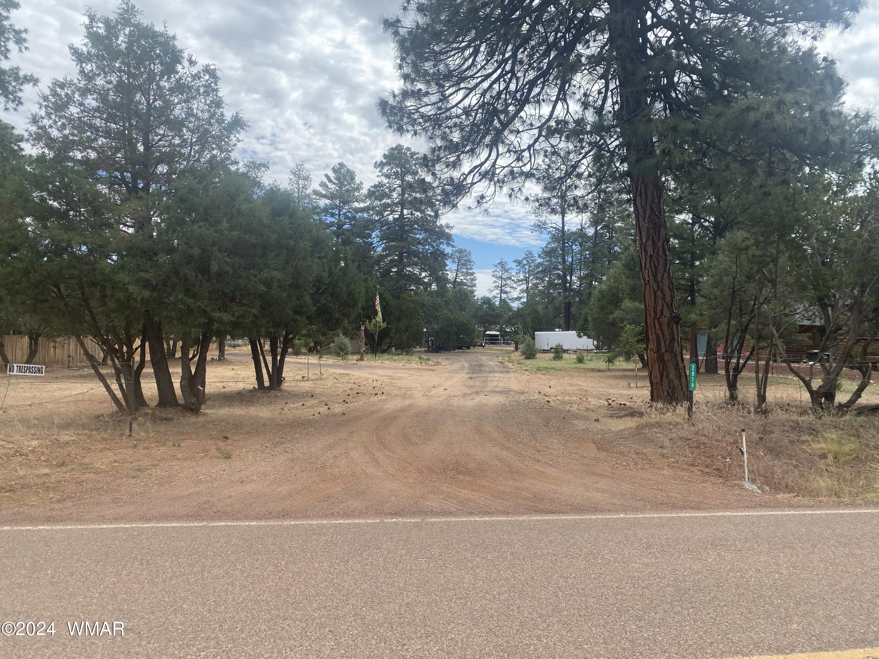 2919 Pine Rim Road Overgaard, AZ 85933 - Photo 4 of 13 a view of outdoor space with trees