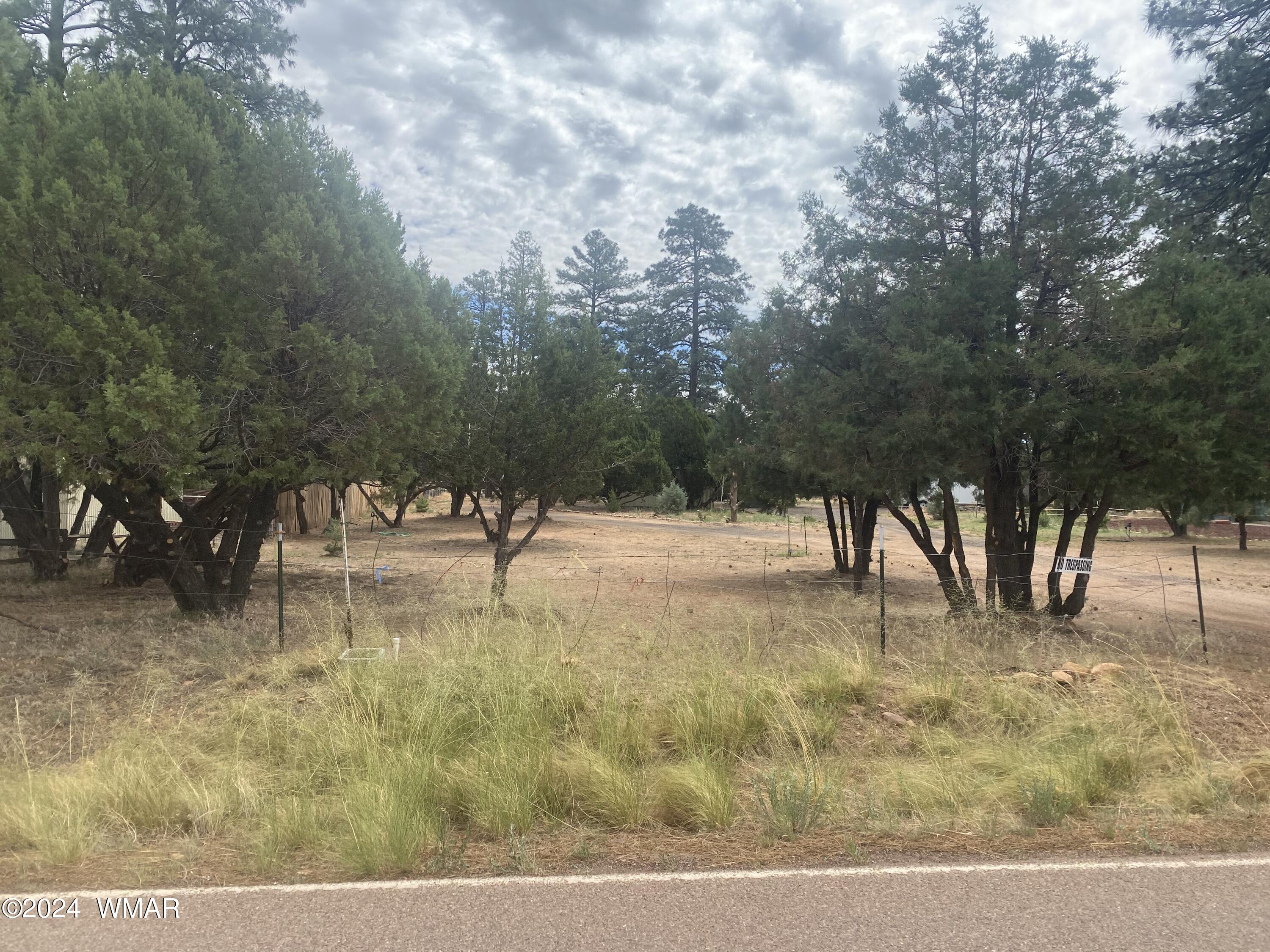 2919 Pine Rim Road Overgaard, AZ 85933 - Photo 5 of 13