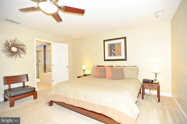 227 McKay Road Stevensville, MD 21666 - Photo 14 of 21 Bedroom (Master)