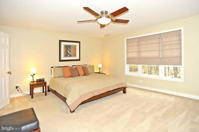 227 McKay Road Stevensville, MD 21666 - Photo 9 of 21 Bedroom (Master)