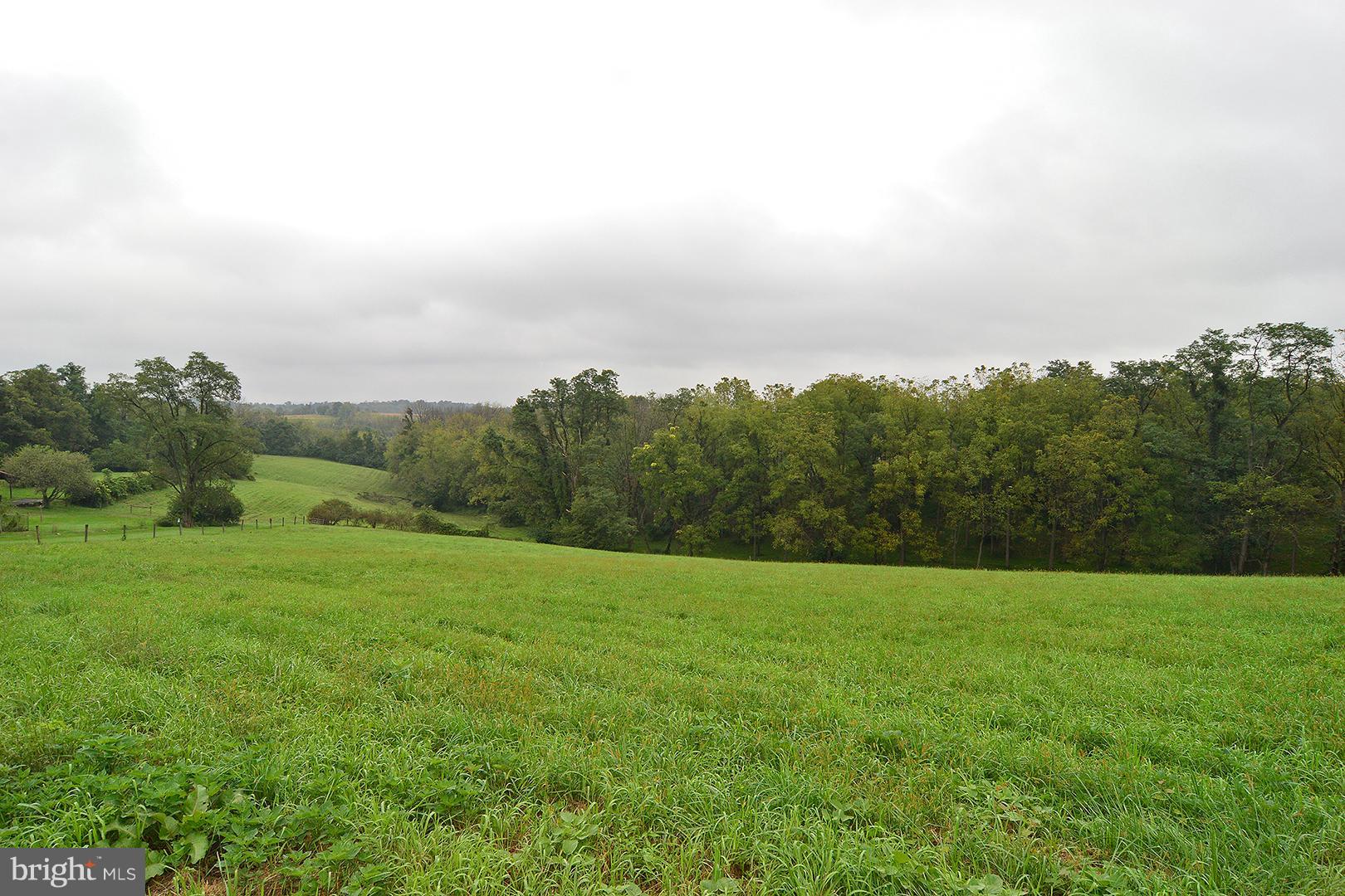 Lot 4 Justa Road Wernersville, PA 19565 - Photo 3 of 22 Gallery Image 3