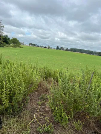 $172,250 | 14044 C R 4122, Lindale, TX 75771