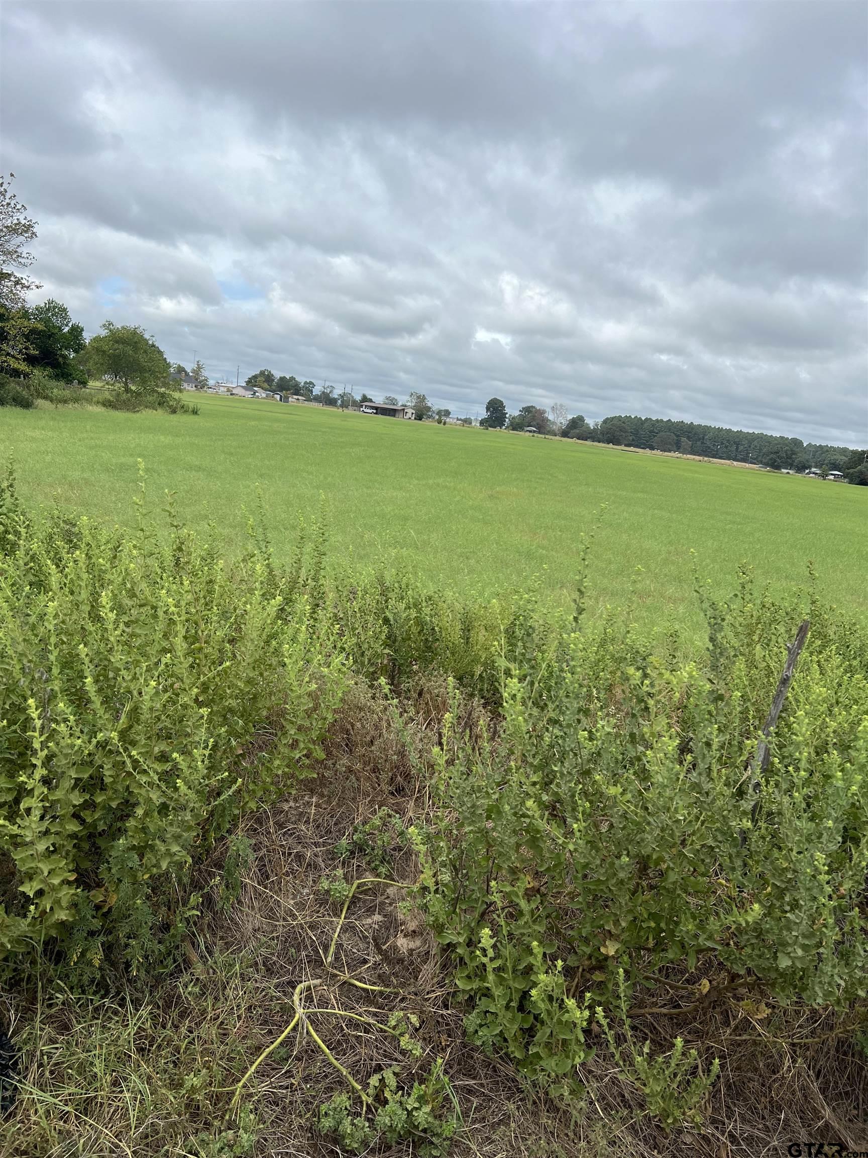 14044 C R 4122 Lindale, TX 75771 - Photo 2 of 2