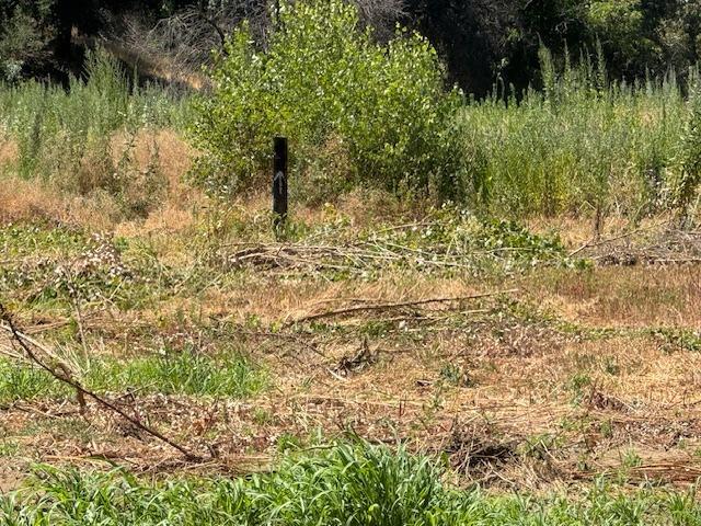 505 Zeff Road Modesto, CA 95351 - Photo 5 of 12 Gallery Image 5