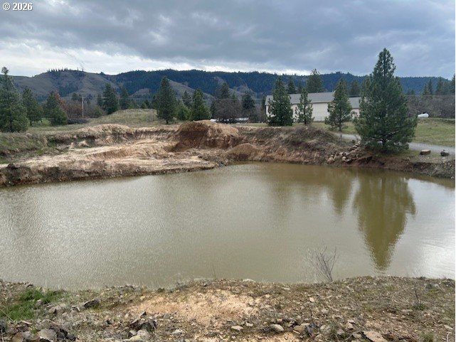 10 Buttercup Lane Lyle, WA 98635 - Photo 11 of 11