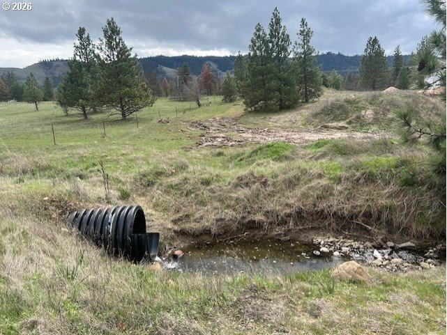 10 Buttercup Lane Lyle, WA 98635 - Photo 2 of 11