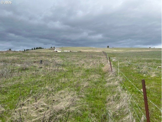 10 Buttercup Lane Lyle, WA 98635 - Photo 3 of 11