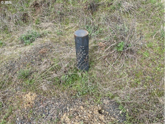 10 Buttercup Lane Lyle, WA 98635 - Photo 4 of 11