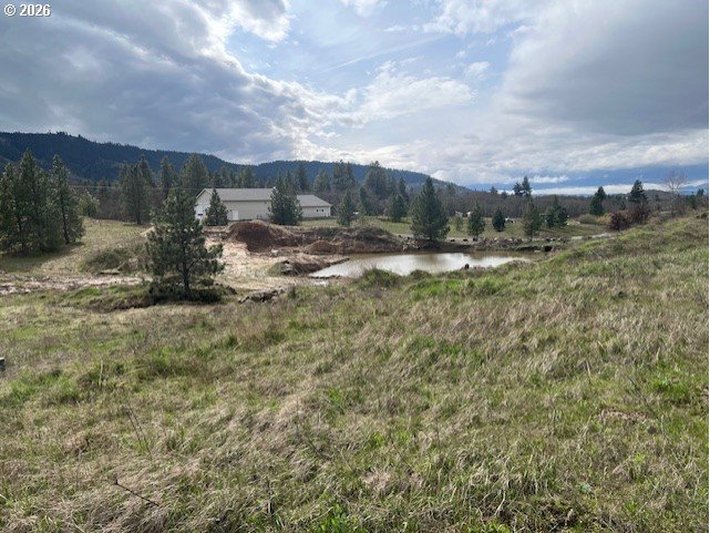 10 Buttercup Lane Lyle, WA 98635 - Photo 5 of 11