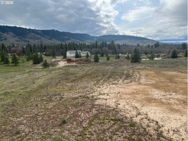 10 Buttercup Lane Lyle, WA 98635 - Photo 7 of 11