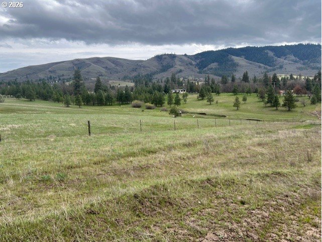 10 Buttercup Lane Lyle, WA 98635 - Photo 8 of 11