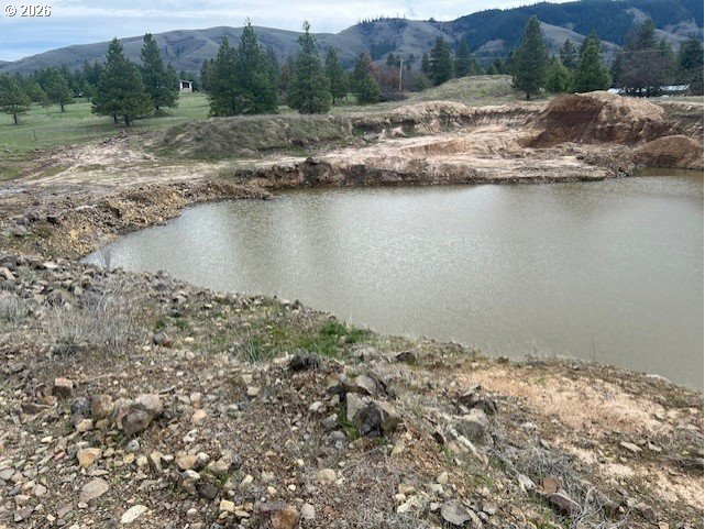 10 Buttercup Lane Lyle, WA 98635 - Photo 10 of 11