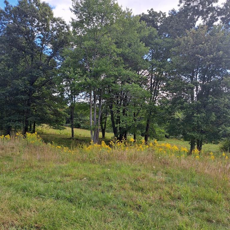 0 Chicora Road Karns City, PA 16041 - Photo 13 of 31 a view of a yard with a tree