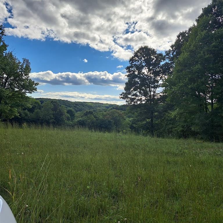 0 Chicora Road Karns City, PA 16041 - Photo 15 of 31 a view of a lake with a yard