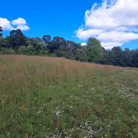 $390,000 | 0 Chicora Road, Karns City, PA 16041