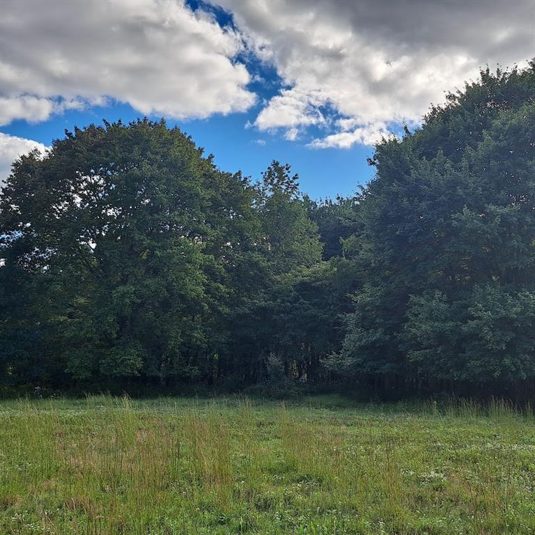 0 Chicora Road Karns City, PA 16041 - Photo 19 of 31 a view of a golf course with green space