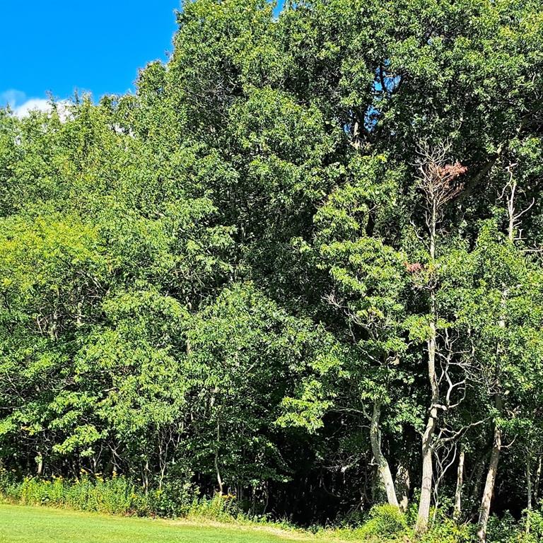 0 Chicora Road Karns City, PA 16041 - Photo 2 of 31 a view of a garden
