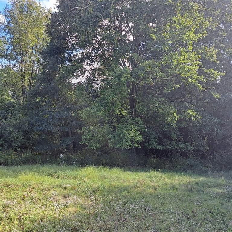 0 Chicora Road Karns City, PA 16041 - Photo 21 of 31 a view of a yard